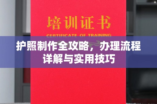 东乡族护照制作全攻略，办理流程详解与实用技巧