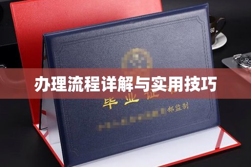 东乡族办理流程详解与实用技巧