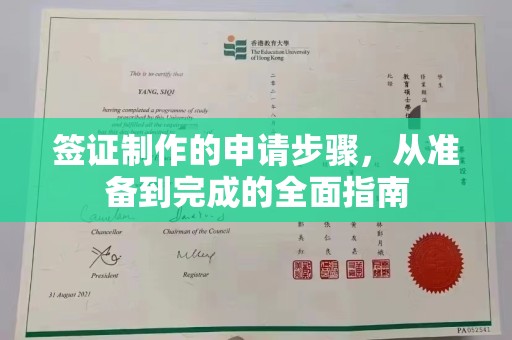 东乡族签证制作的申请步骤，从准备到完成的全面指南