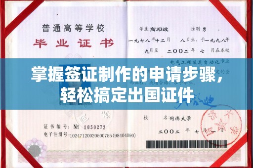 东乡族掌握签证制作的申请步骤，轻松搞定出国证件