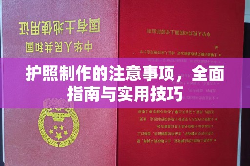 东乡族护照制作的注意事项，全面指南与实用技巧