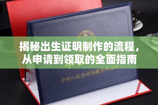 东乡族揭秘出生证明制作的流程，从申请到领取的全面指南