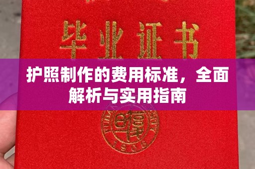 东乡族护照制作的费用标准，全面解析与实用指南