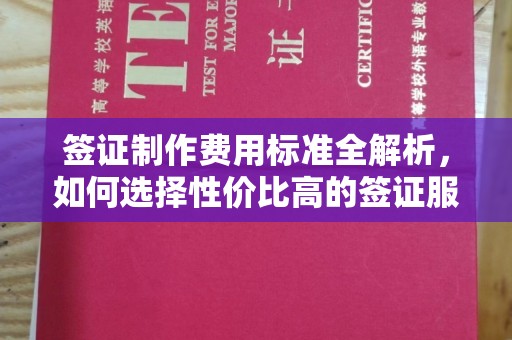 东乡族签证制作费用标准全解析，如何选择性价比高的签证服务？