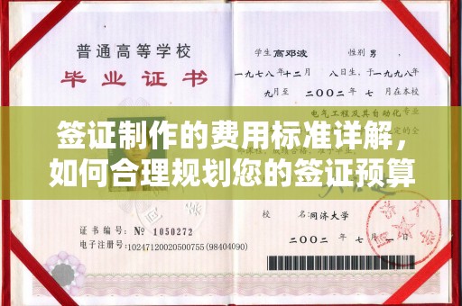 东乡族签证制作的费用标准详解，如何合理规划您的签证预算
