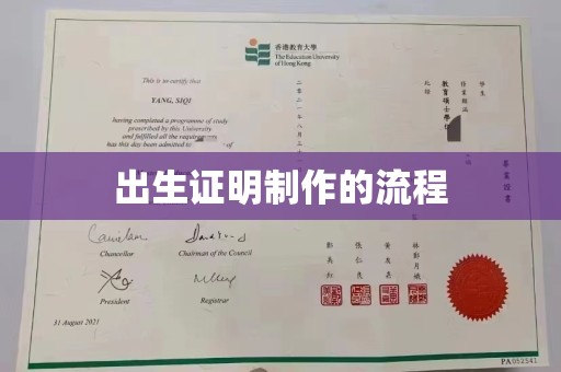 东乡族出生证明制作的流程